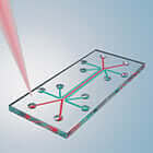 organs on microchips