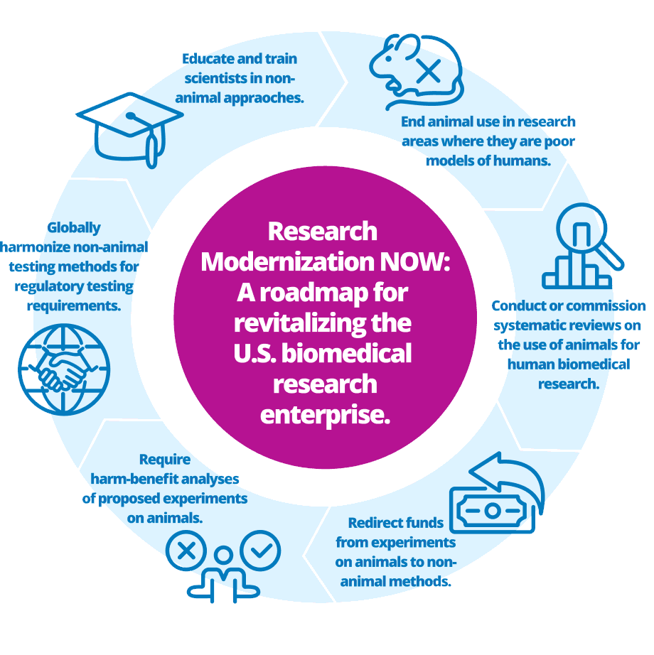 Chart of modernization roadmap: End animal use in research; Review current use of animal models for humans; Redirect funds; Require harm/benefit analysis; Globalized non-animal testing methods. Click for more details.