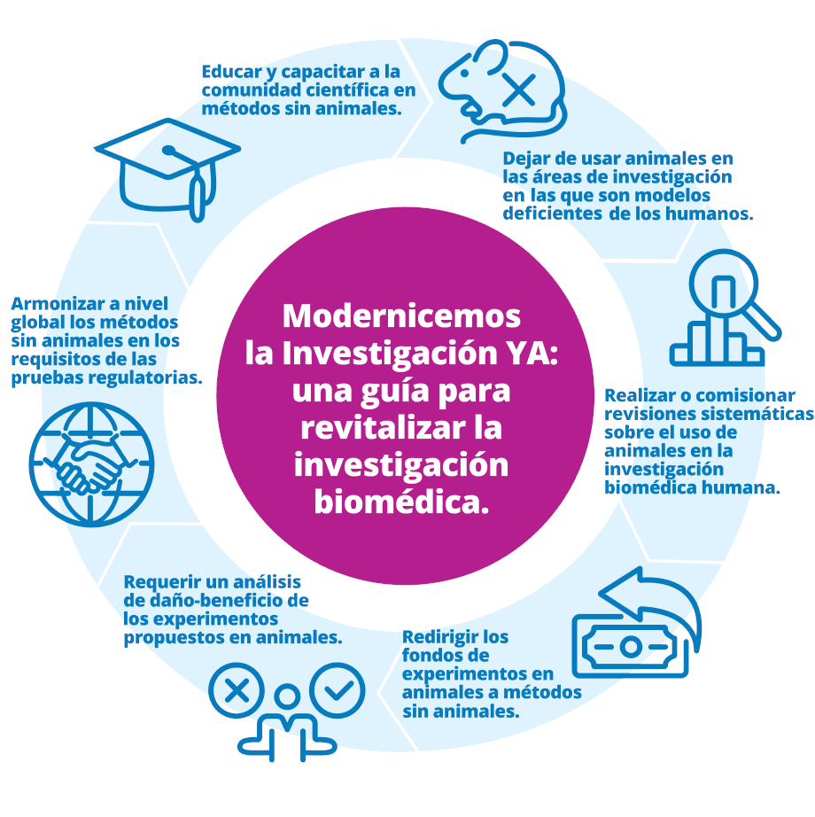 Gráfico de la estrategia para modernizar la investigación biomédica: poner fin al uso de animales en la investigación; realizar revisiones sistemáticas del uso actual de animales como modelos; redirigir fondos de experimentos en animales a métodos sin animales; exigir un análisis de daños y beneficios para los experimentos en animales; armonizar las pruebas sin animales en el ámbito regulatorio; educar a la comunidad científica en métodos sin animales. Haga clic para obtener más información.