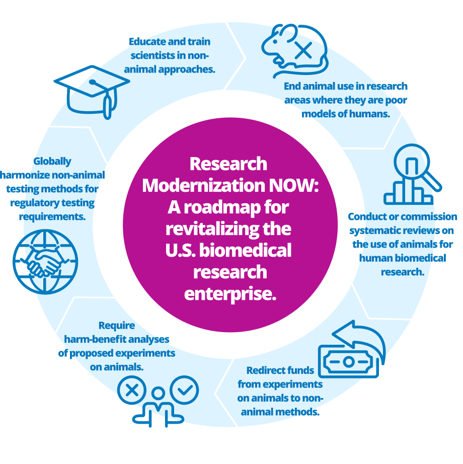 Chart of modernization roadmap: End animal use in research; Review current use of animal models for humans; Redirect funds; Require harm/benefit analysis; Globalized non-animal testing methods. Click for more details.