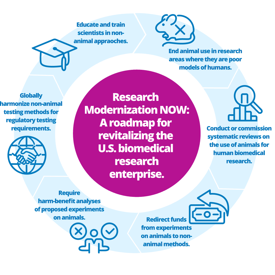 Chart of modernization roadmap: End animal use in research; Review current use of animal models for humans; Redirect funds; Require harm/benefit analysis; Globalized non-animal testing methods. Click for more details.