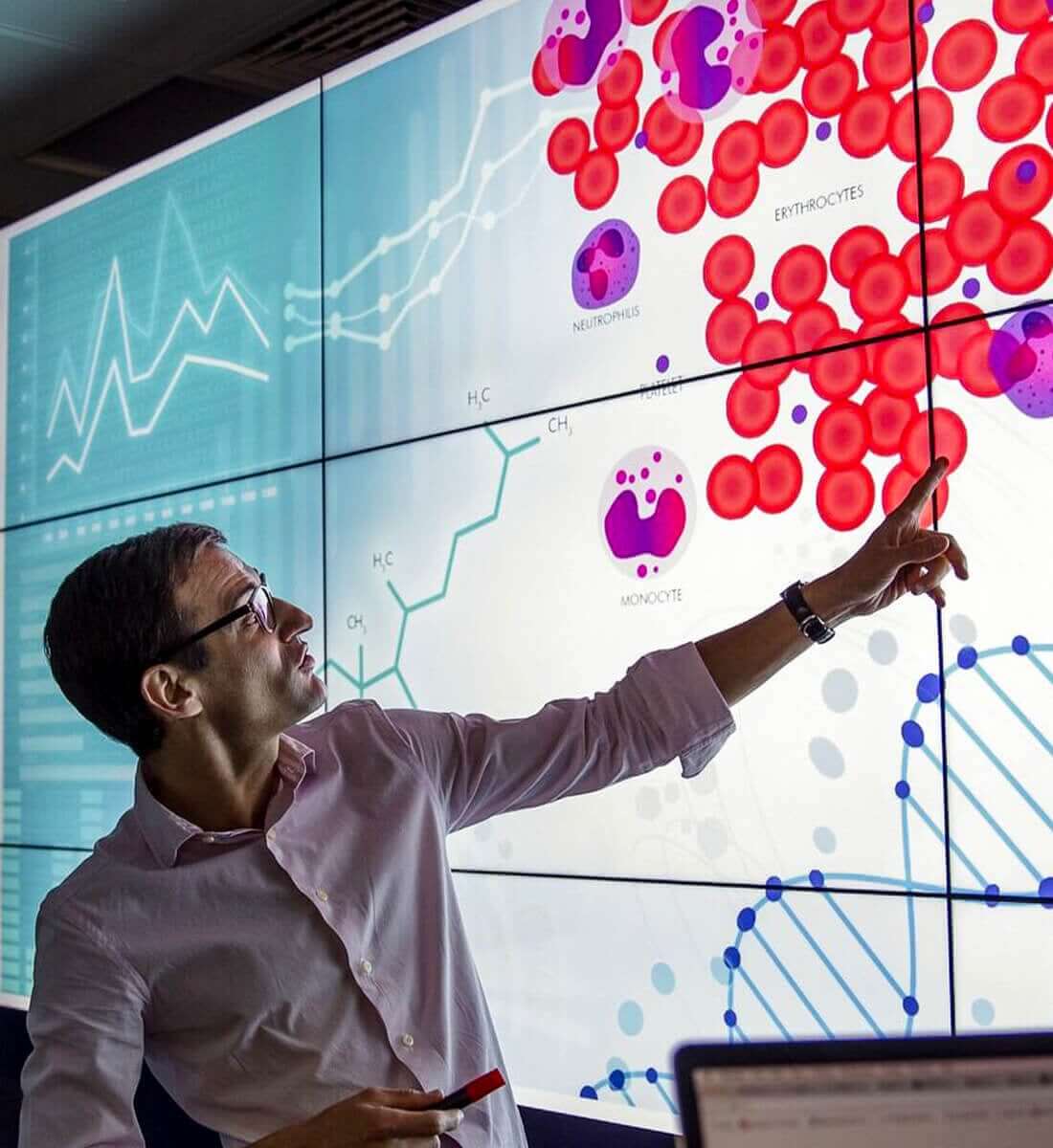 a man stands and points at a projection of biological data