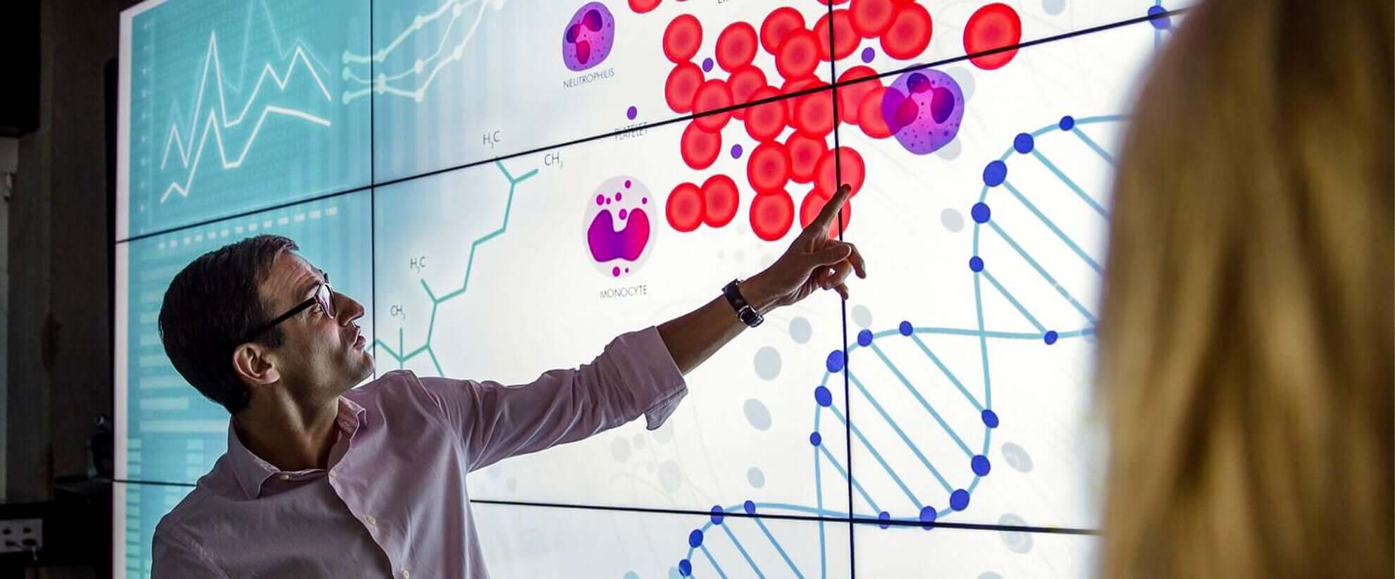 a man stands and points at a projection of biological data